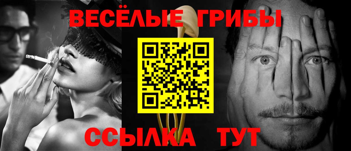 Нарткала  Галлюциногенные грибы Cubensis  Галлюциногенные грибы Psilocybine cubensis  Вход с VPN 